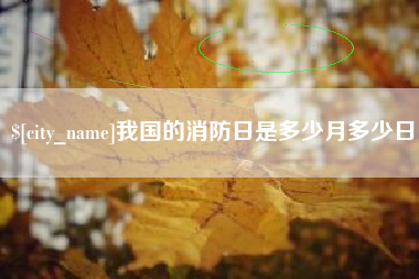 茌平我国的消防日是多少月多少日