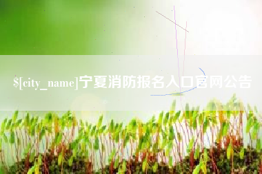 茌平宁夏消防报名入口官网公告