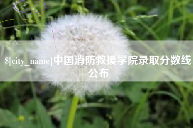 茌平中国消防救援学院录取分数线公布