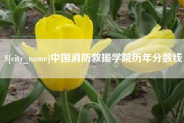 茌平中国消防救援学院历年分数线
