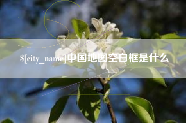 茌平中国地图空白框是什么