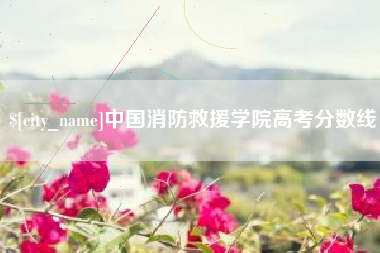 茌平中国消防救援学院高考分数线