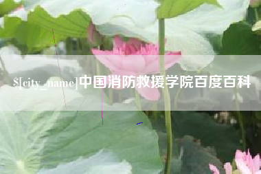 茌平中国消防救援学院百度百科