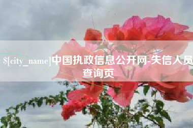 茌平中国执政信息公开网-失信人员查询页