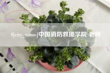 茌平中国消防救援学院 老师