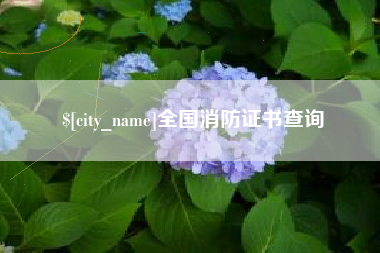 茌平全国消防证书查询