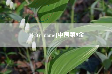 茌平中国第9金