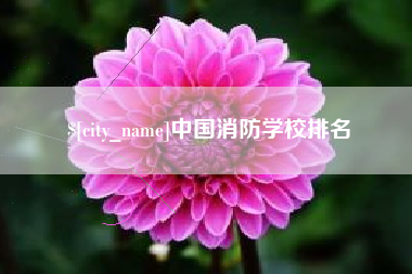 茌平中国消防学校排名