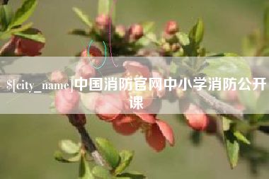 茌平中国消防官网中小学消防公开课