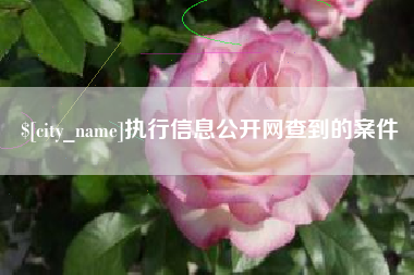 茌平执行信息公开网查到的案件