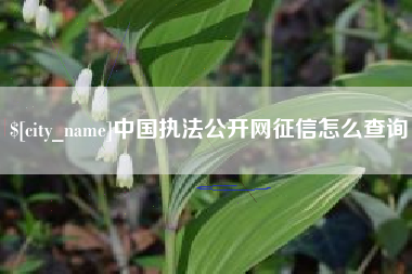 茌平中国执法公开网征信怎么查询