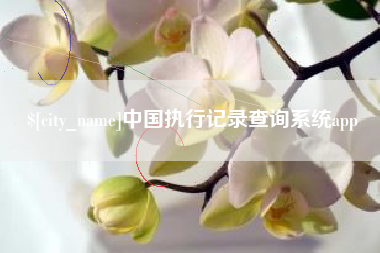 茌平中国执行记录查询系统app