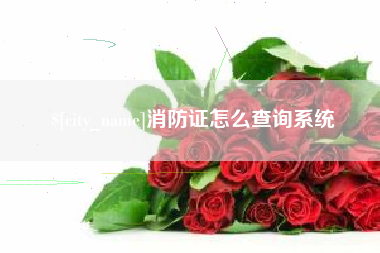 茌平消防证怎么查询系统