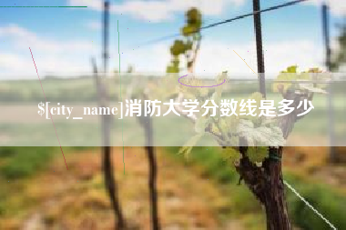 茌平消防大学分数线是多少