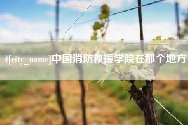 茌平中国消防救援学院在那个地方