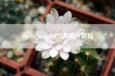 茌平2021消防分数线