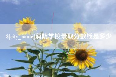 茌平消防学校录取分数线是多少