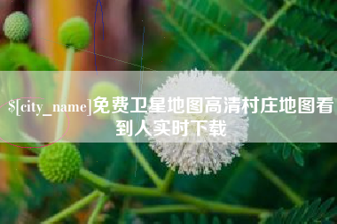 茌平免费卫星地图高清村庄地图看到人实时下载