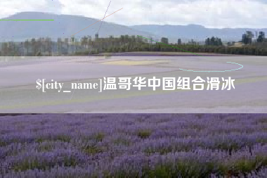 茌平温哥华中国组合滑冰
