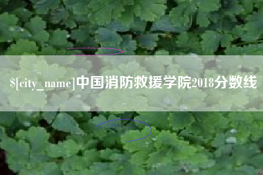 茌平中国消防救援学院2018分数线