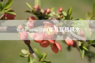 茌平2021年九宫格风水