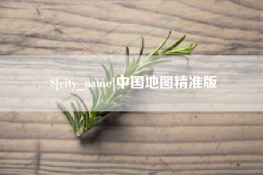 茌平中国地图精准版