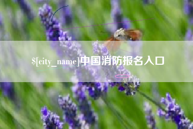茌平中国消防报名入口
