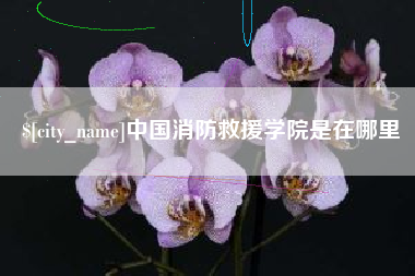 茌平中国消防救援学院是在哪里
