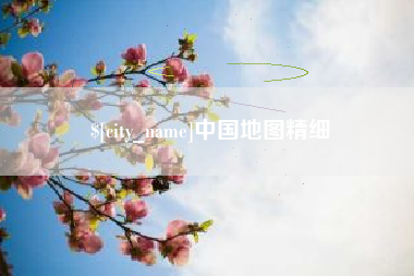 茌平中国地图精细