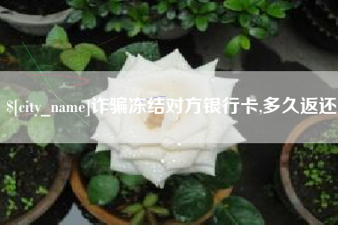 茌平诈骗冻结对方银行卡,多久返还