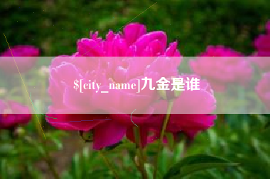 茌平九金是谁