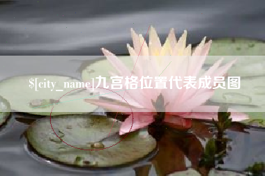 茌平九宫格位置代表成员图
