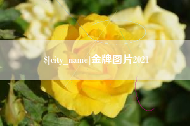 茌平金牌图片2021