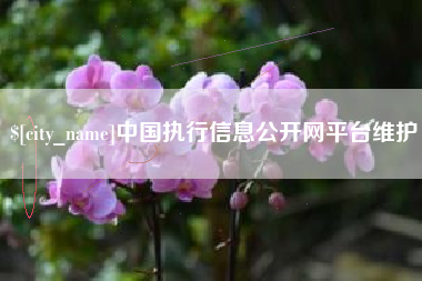 茌平中国执行信息公开网平台维护
