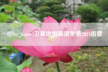 茌平卫星地图高清免费2024街景