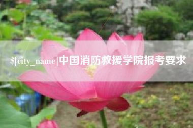 茌平中国消防救援学院报考要求