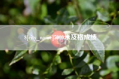 茌平5000米及格成绩
