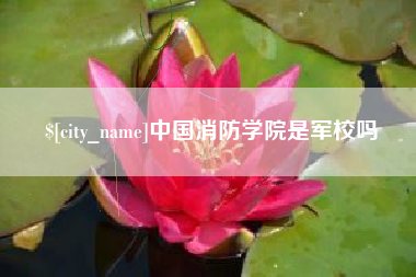茌平中国消防学院是军校吗