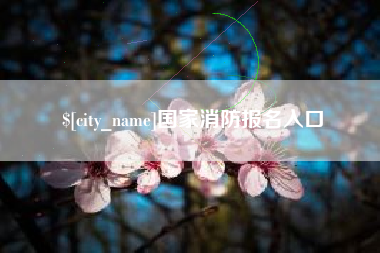 茌平国家消防报名入口