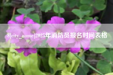 茌平2025年消防员报名时间表格