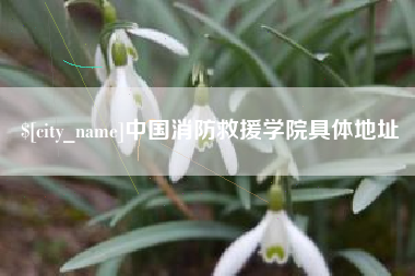 茌平中国消防救援学院具体地址