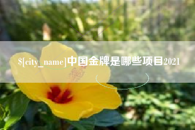 茌平中国金牌是哪些项目2021