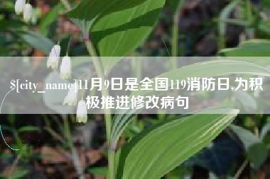 茌平11月9日是全国119消防日,为积极推进修改病句