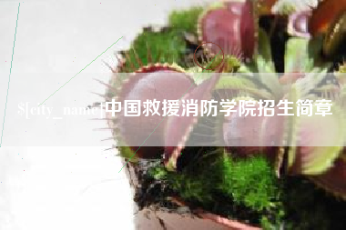 茌平中国救援消防学院招生简章