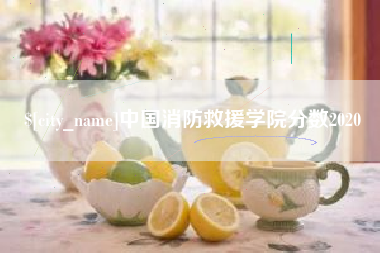 茌平中国消防救援学院分数2020