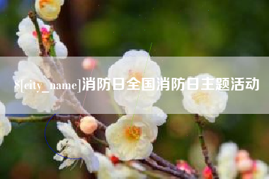 茌平消防日全国消防日主题活动