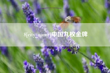 茌平中国九枚金牌