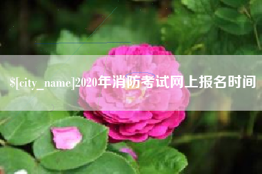 茌平2020年消防考试网上报名时间