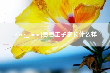 茌平看看王子豪长什么样