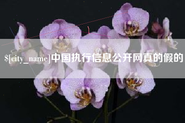 茌平中国执行信息公开网真的假的